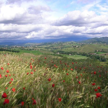 Villa Dei Romaniani Villaromagnano Eksteriør billede