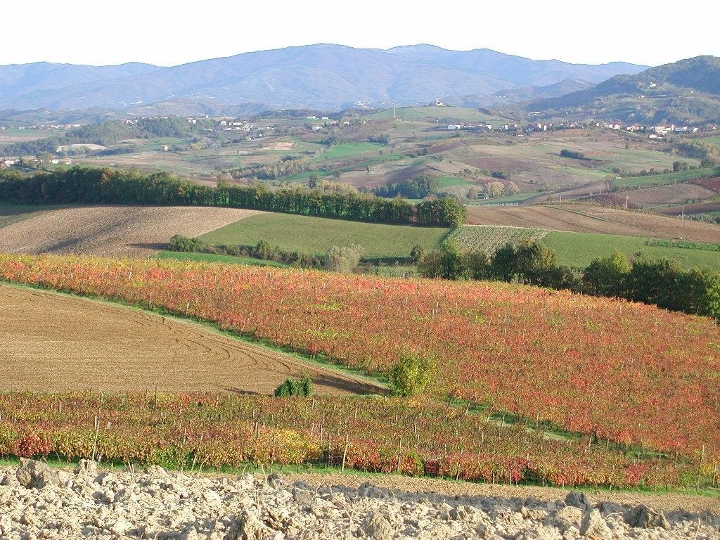 Villa Dei Romaniani Villaromagnano Eksteriør billede